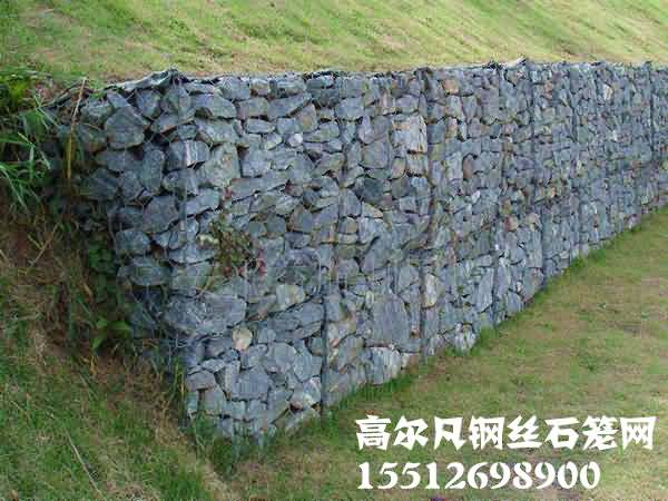 timg333_副本.jpg timg333_副本.jpg